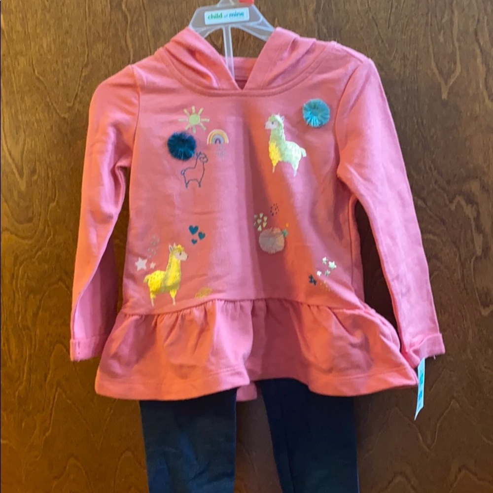 Little girls 2t set
